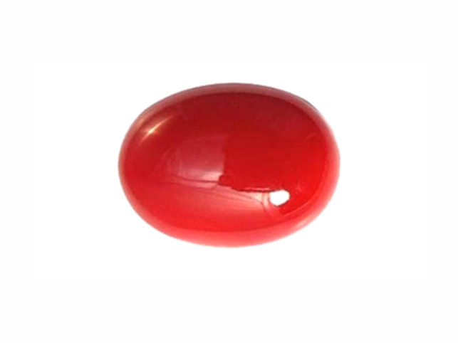 Red Coral